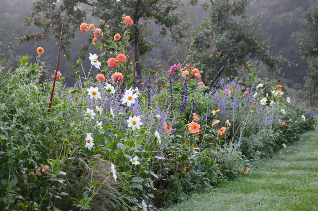 Najaars border met planten en bloemen