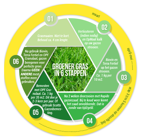 Cirkel stappenplan gras groener